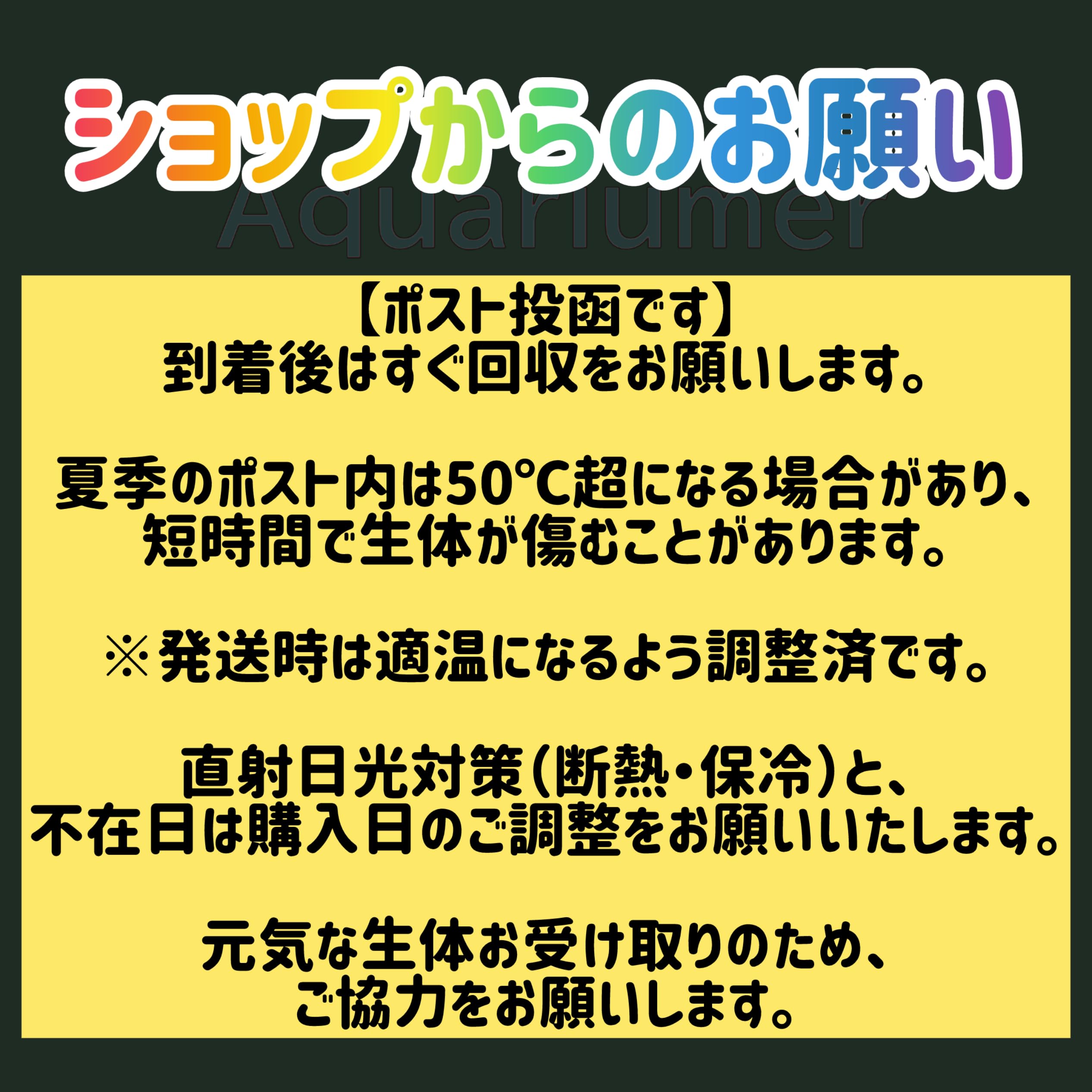 Amazon.co.jp: ブセファランドラ スケルトンキング（キシィ